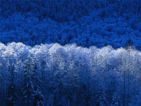 NEIGE